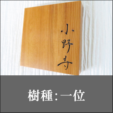 （樹種：一位）
